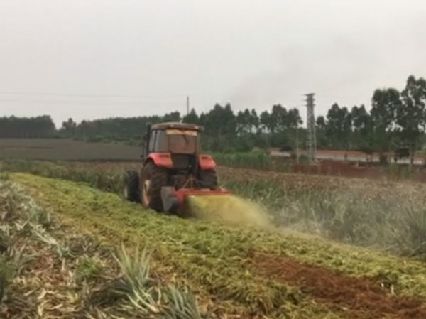 热带地区菠萝叶粉碎还田机